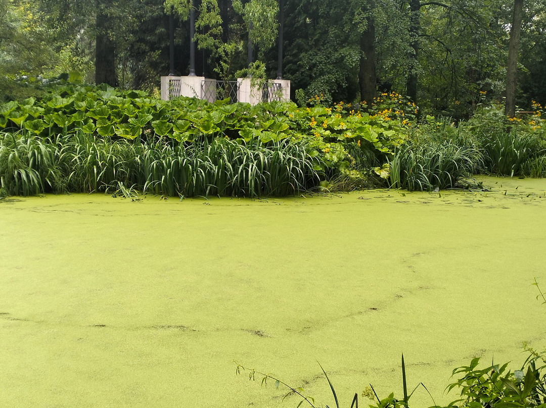 Botanical Garden of Tver State University-特维尔必去景点