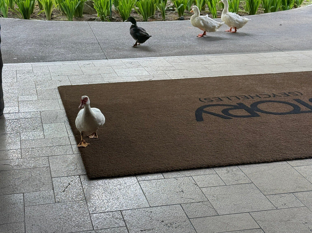 Sesel Spa-博瓦隆必去景点