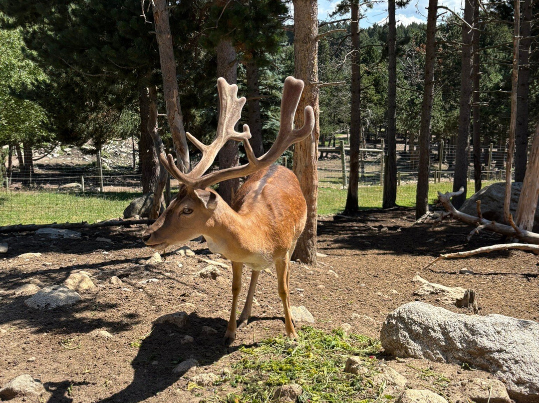 Parc animalier des Angles-Les Angles必去景点