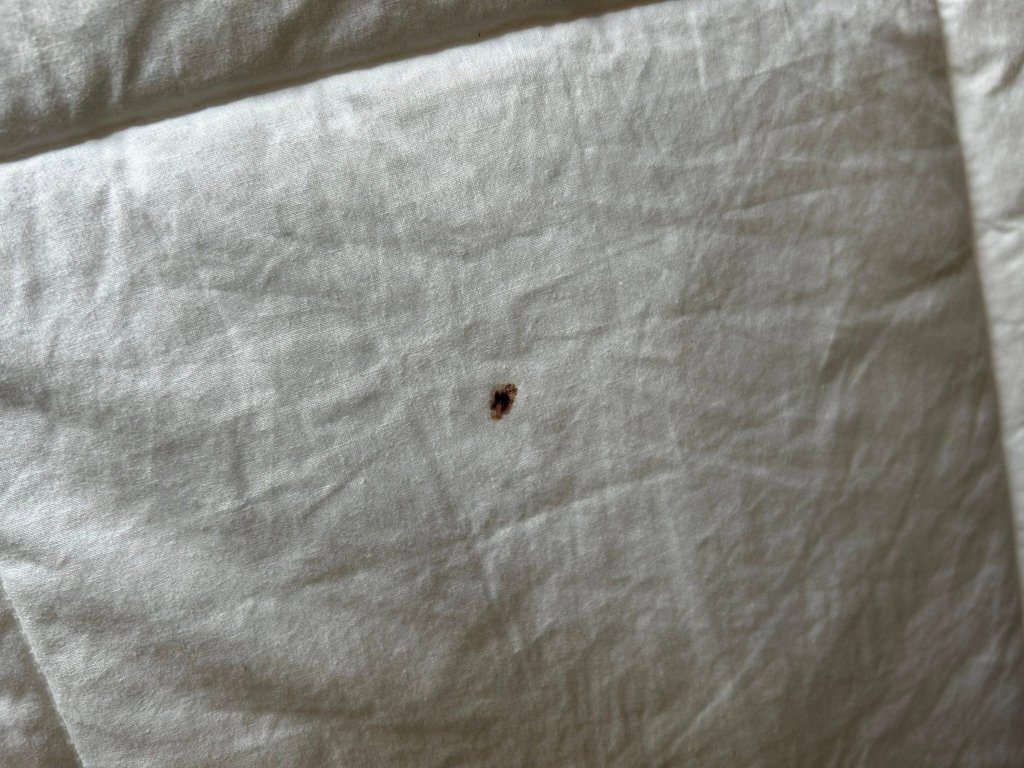 Quality Inn Seymour I-65-客卧