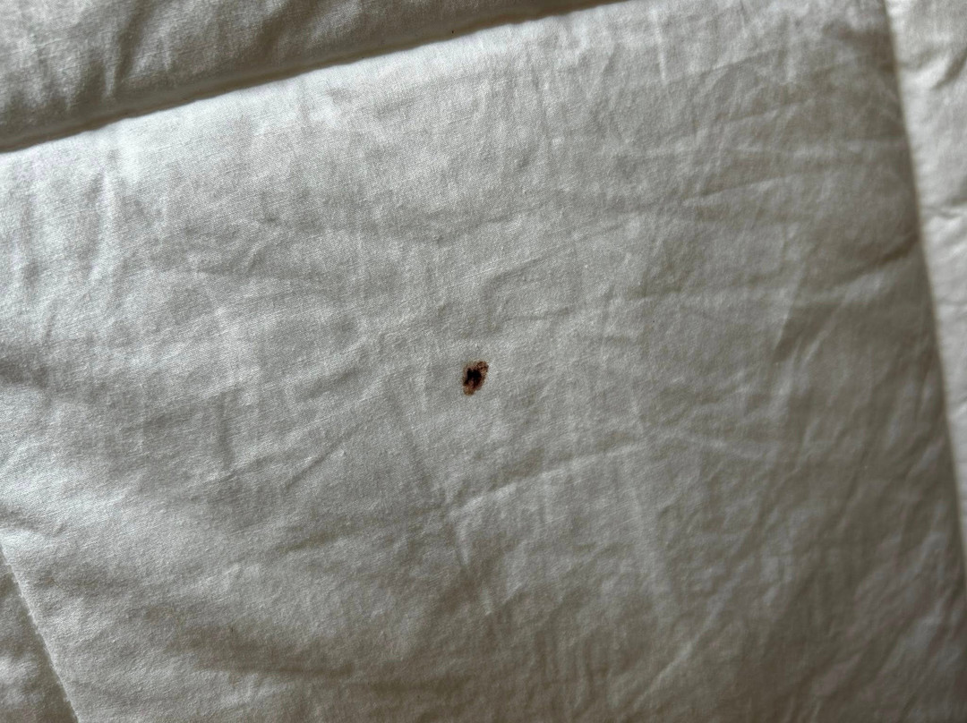 Quality Inn Seymour I-65主图