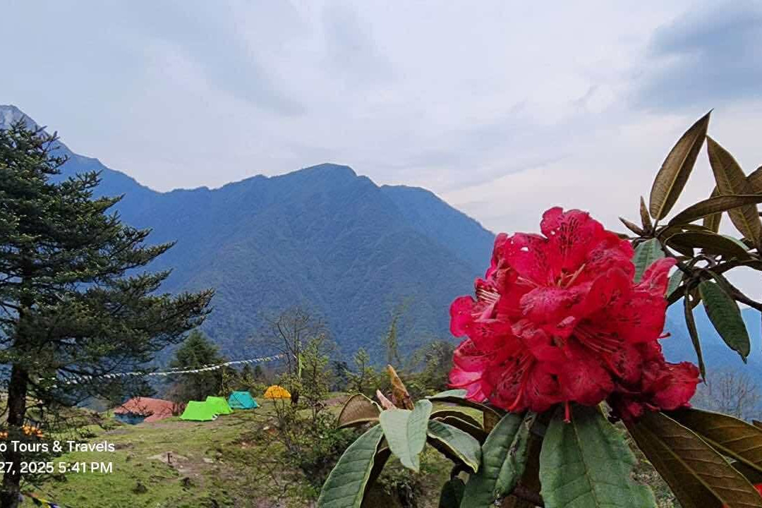 Limboo Tours & Travels-Yuksom必去景点