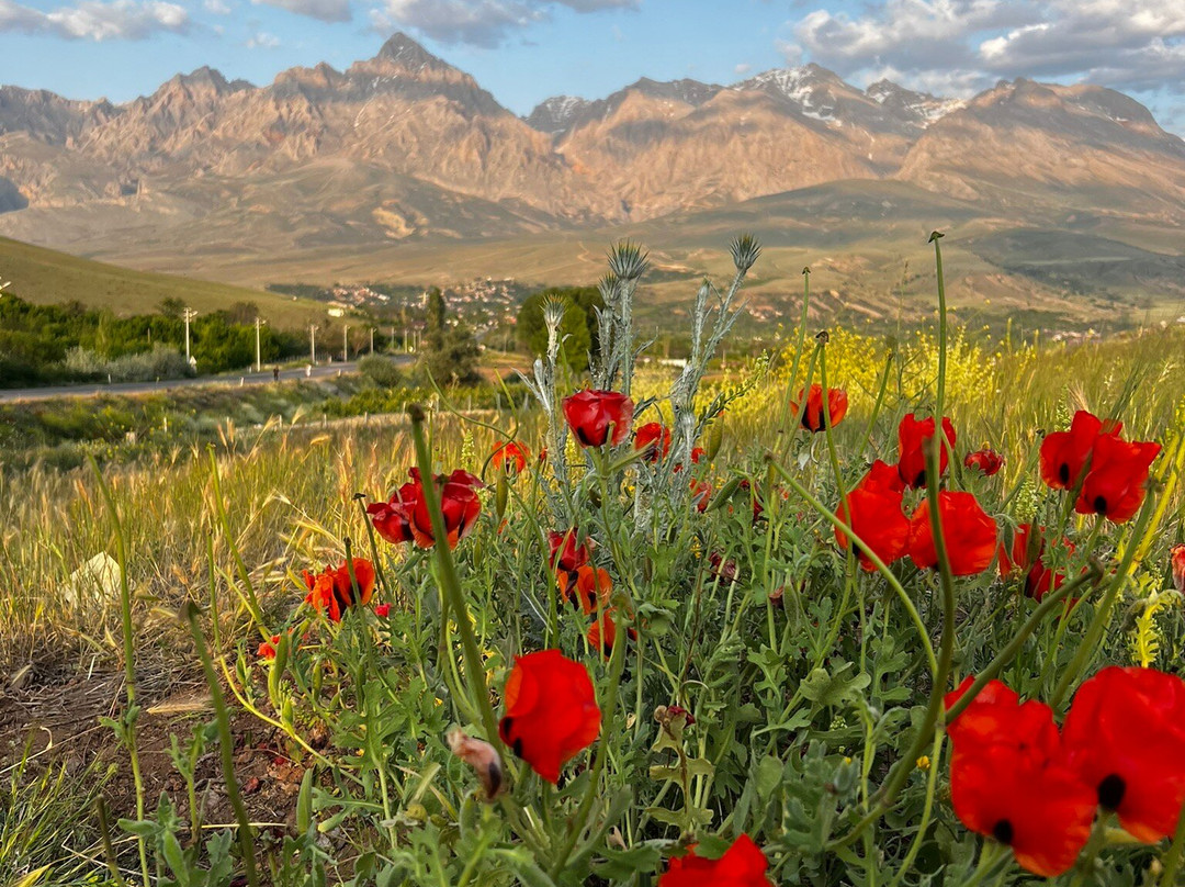 Demirkazık Tepe-Camardi必去景点