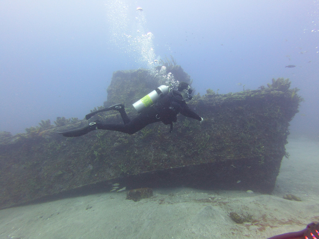 Statia Divers