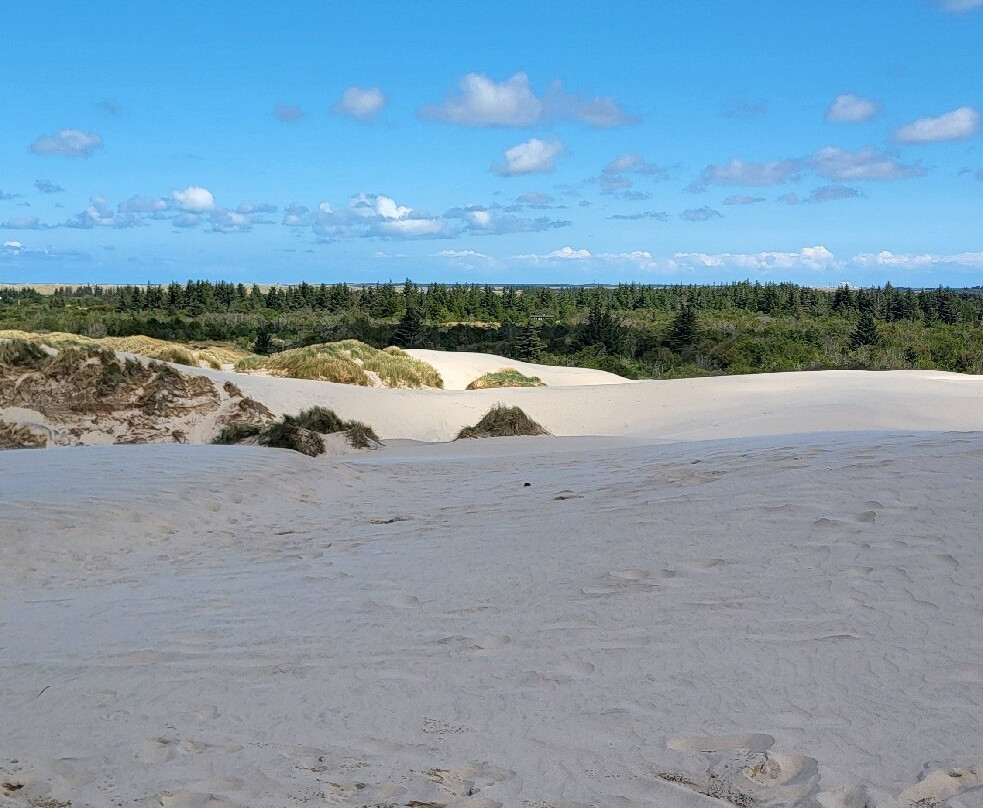 Råbjerg Mile-斯卡恩必去景点