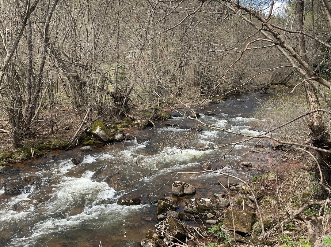 Nature Park Stara Planina-Pirot必去景点