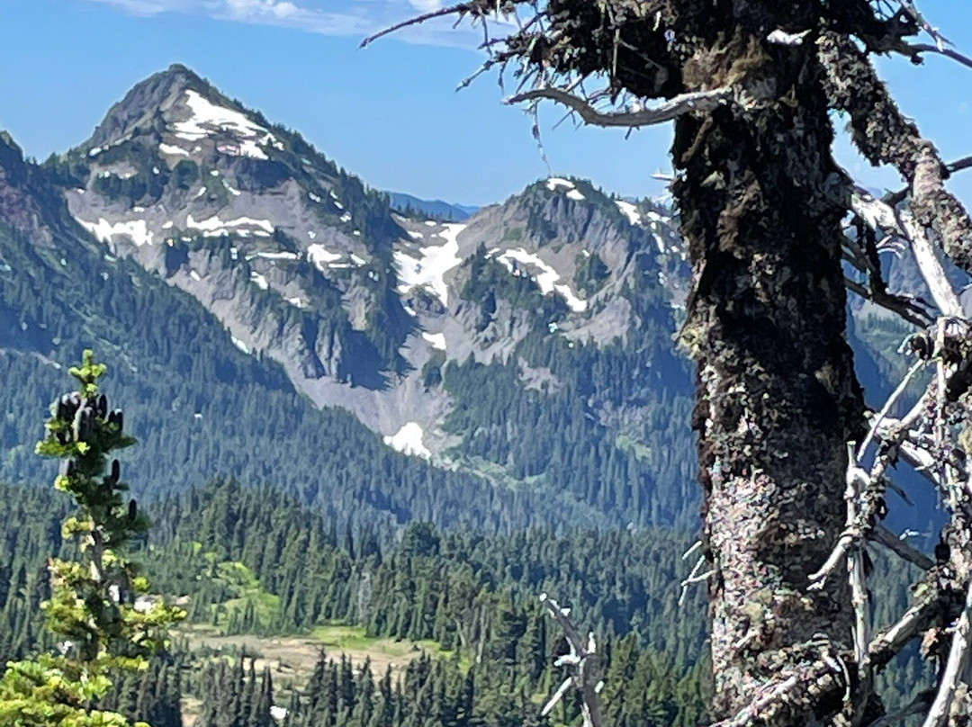 Mount Rainier National Park-阿什福德必去景点