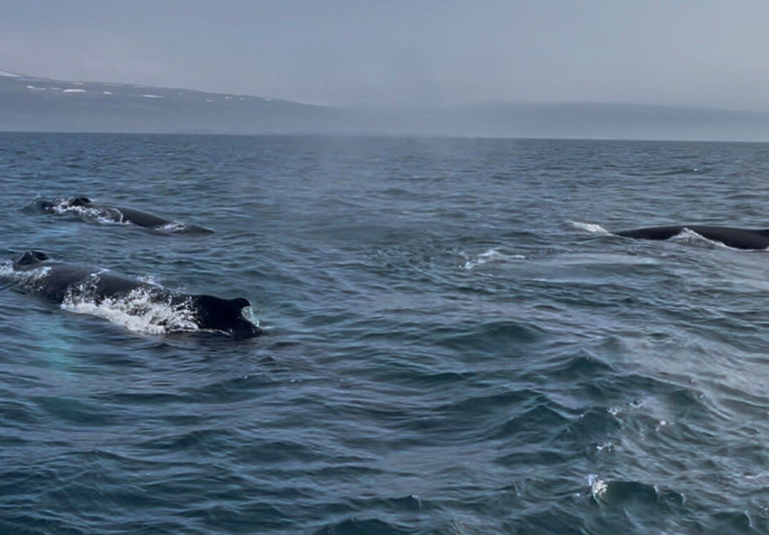 Borea Adventures-伊萨菲厄泽必去景点