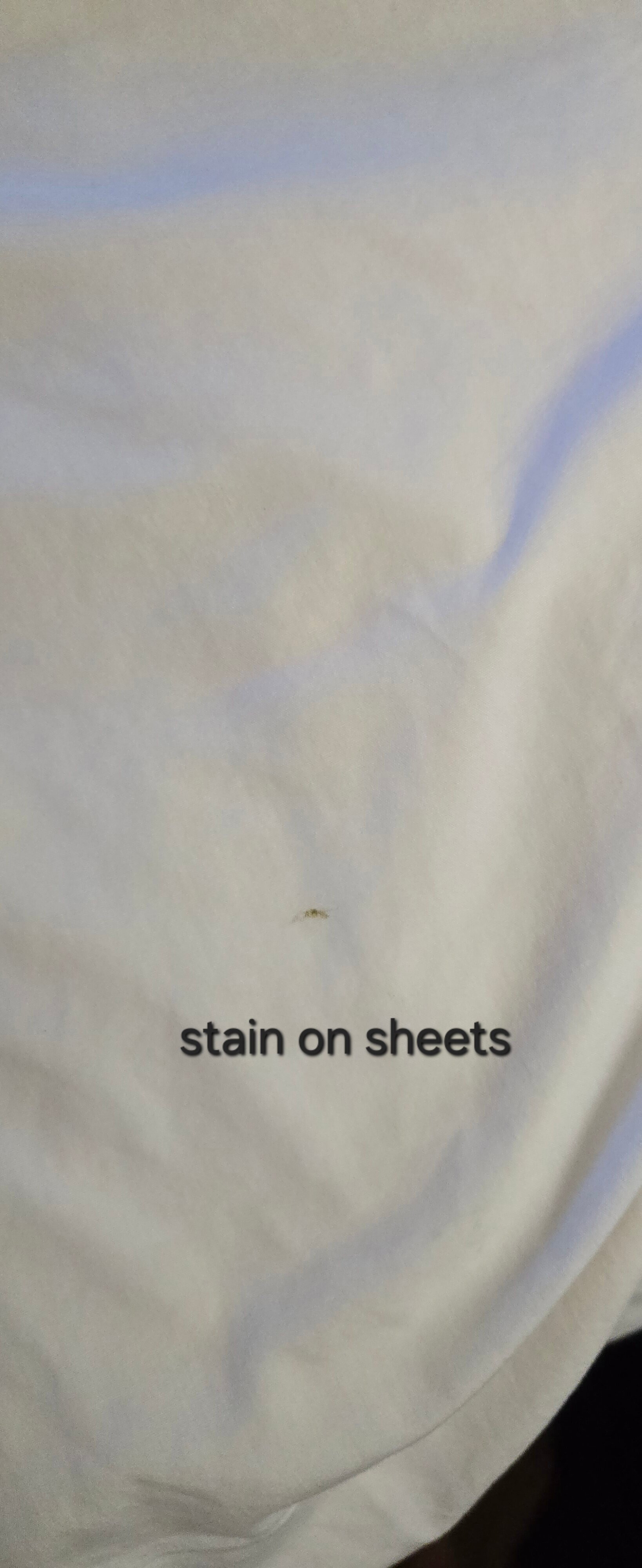 Best Western Gateway Grand-客卧