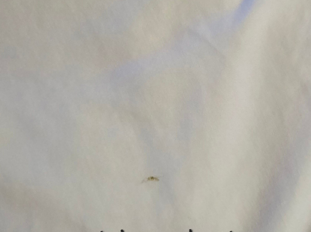 Best Western Gateway Grand主图