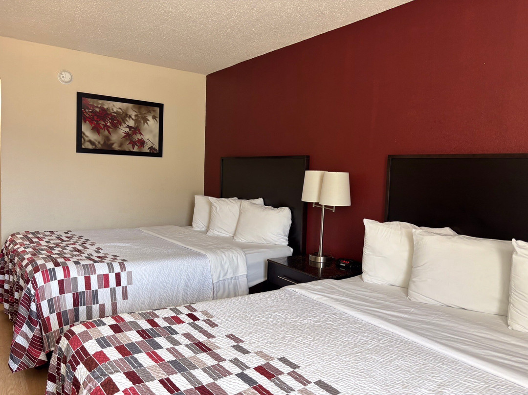 Red Roof Inn & Suites主图