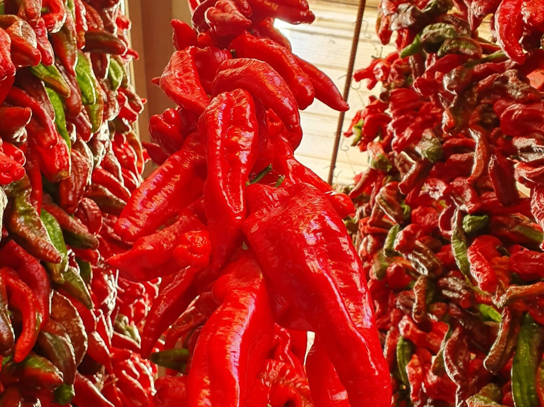 Hotel Barbieri主图