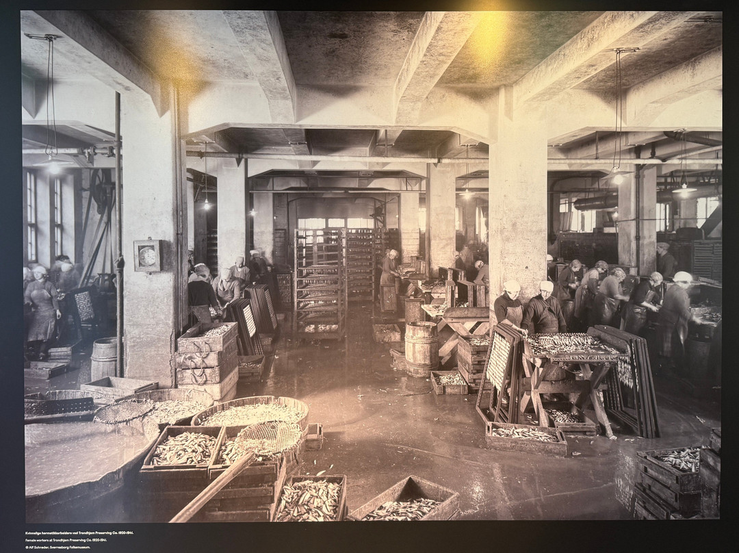 Norwegian Canning Museum-斯塔万格必去景点