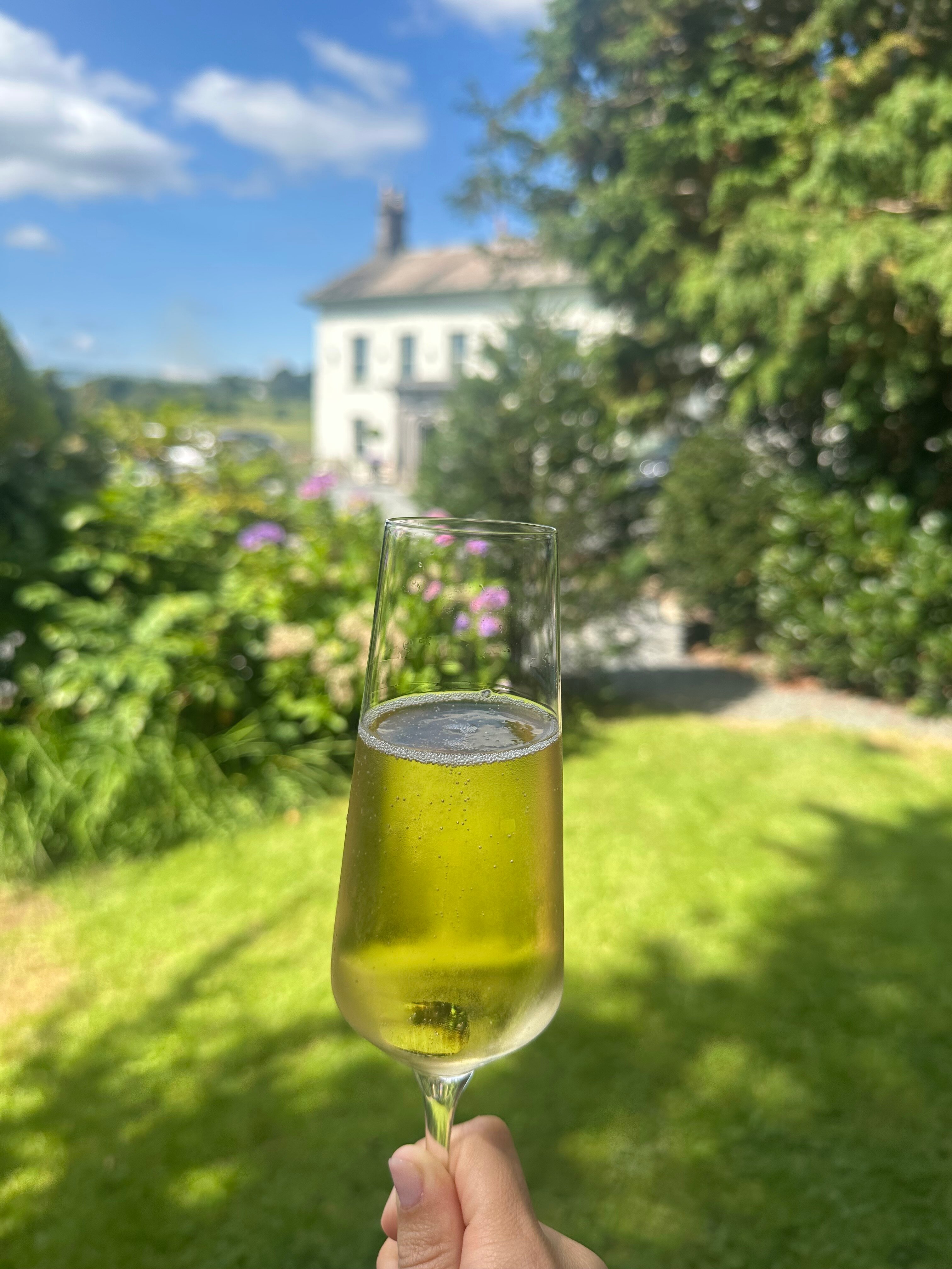 Aynsome Manor-官方