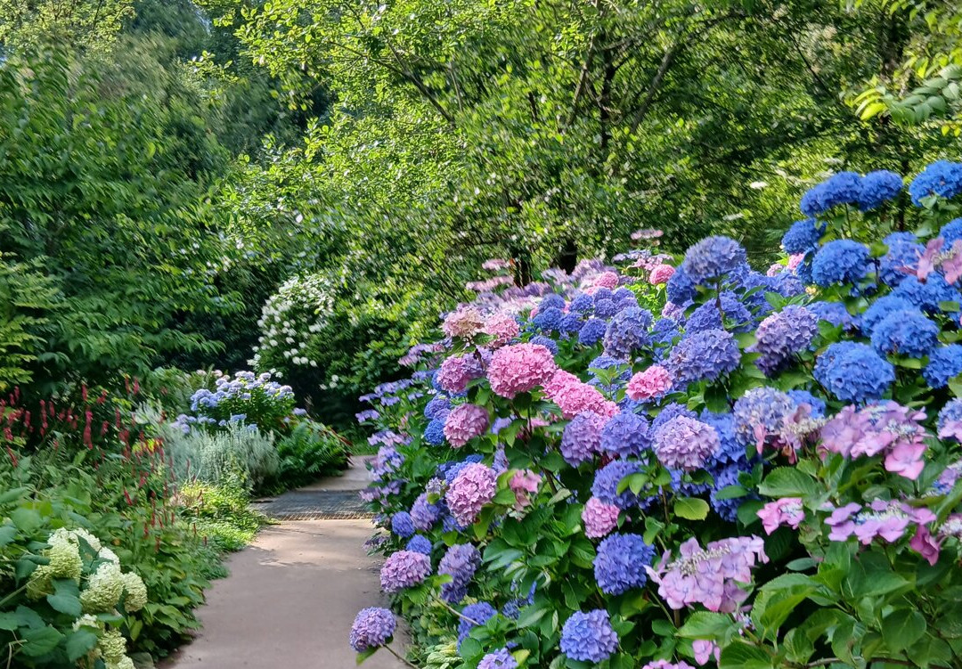 Jardin du Peintre Andre Van Beek-Saint-Paul必去景点