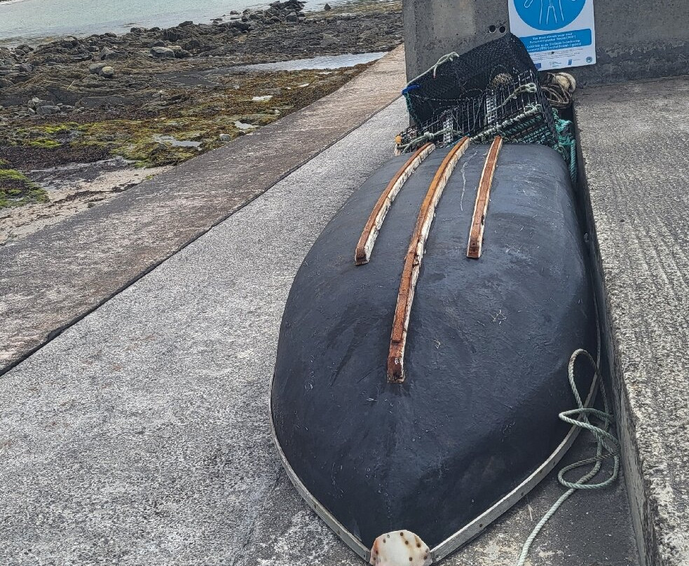 Joyce's Marian Villa Guesthouse主图