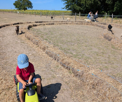 Ferme de La Cressonnière-Corme Ecluse必去景点