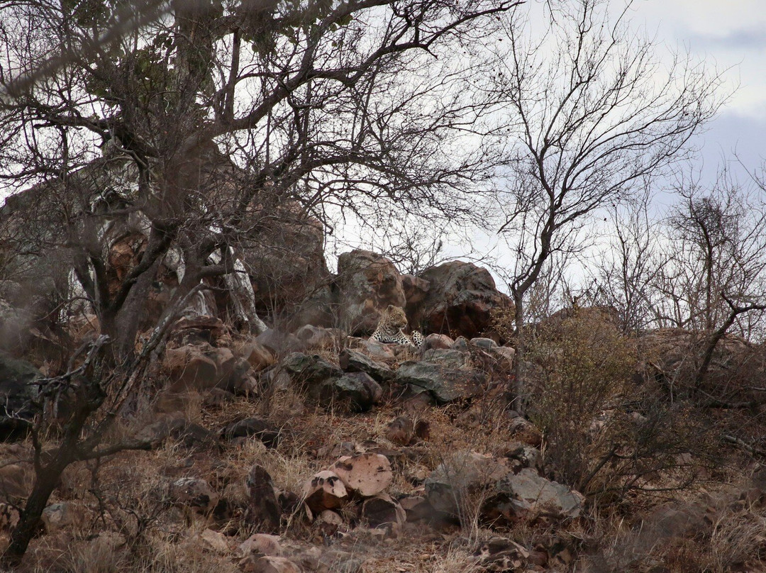 Nandzana Safaris-伐拉博瓦必去景点