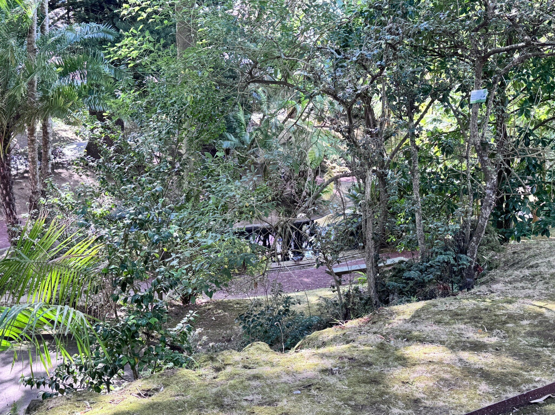 Jose do Canto Botanical Garden-蓬塔德尔加达必去景点