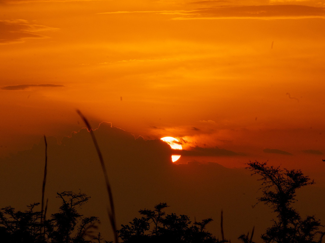 Mt. Elgon National Park-Eastern Region必去景点