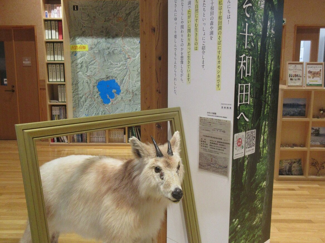 Towada Visitor Center-十和田市必去景点