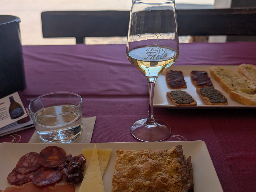 Bodegas Faelo-埃尔切必去景点