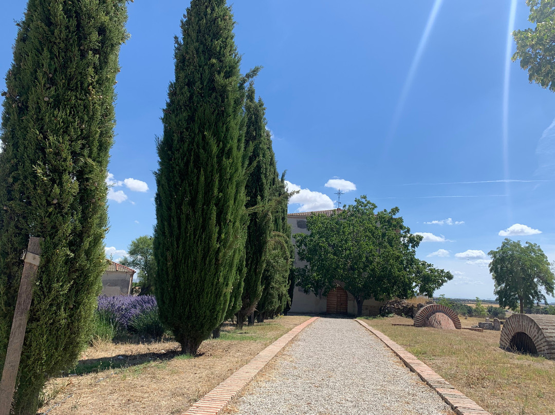 Bodegas y Vinedos La Mejorada-Olmedo必去景点