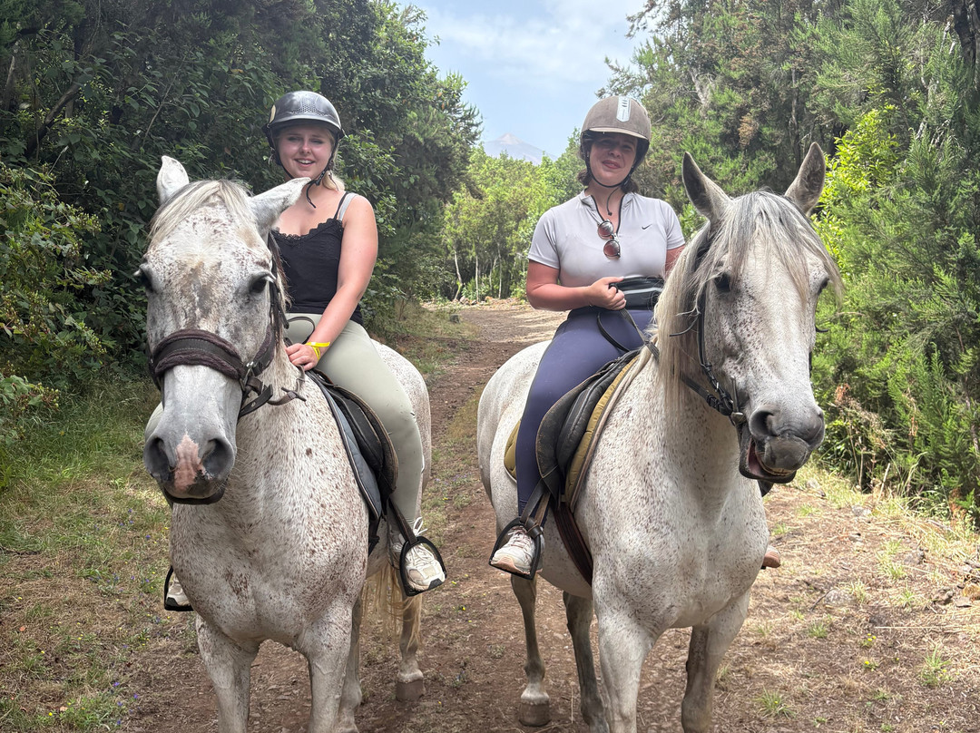 Centro Hípico Savvy Tenerife / Horse riding Tenerife / Reiten Teneriffa-德拉克鲁兹索尔港必去景点