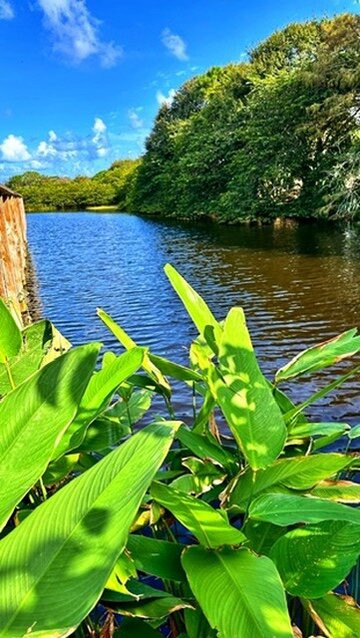 Wakodahatchee Wetlands-德拉海滩必去景点