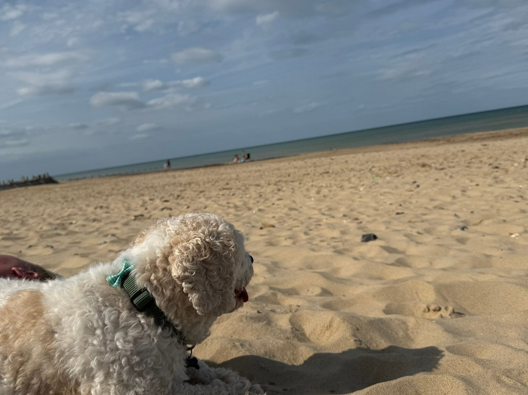 Bacton Beach-Bacton必去景点