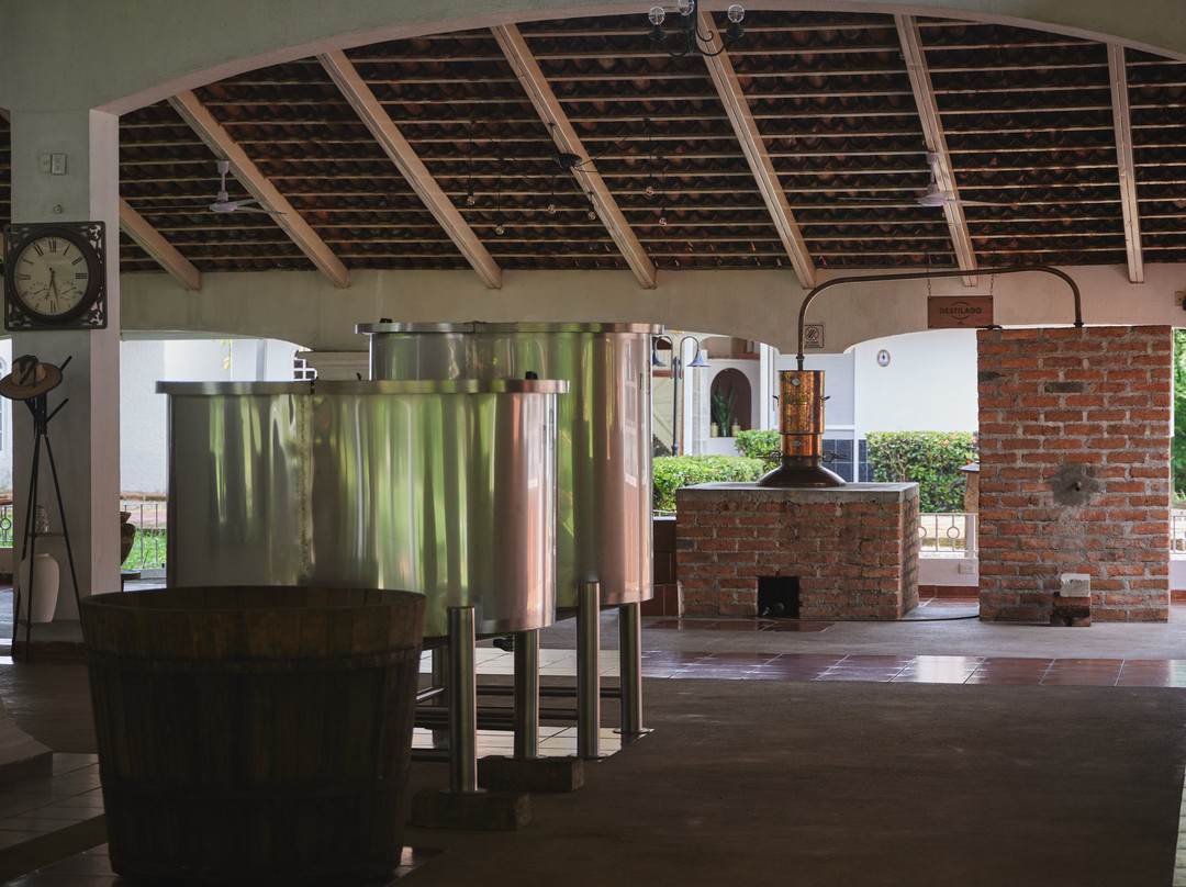 Finca 18-瓦拉塔港必去景点