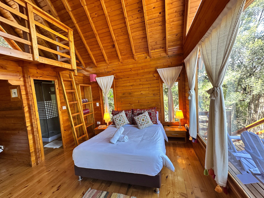 FIBAS Jardin de Desierto-莱瓦镇必去景点