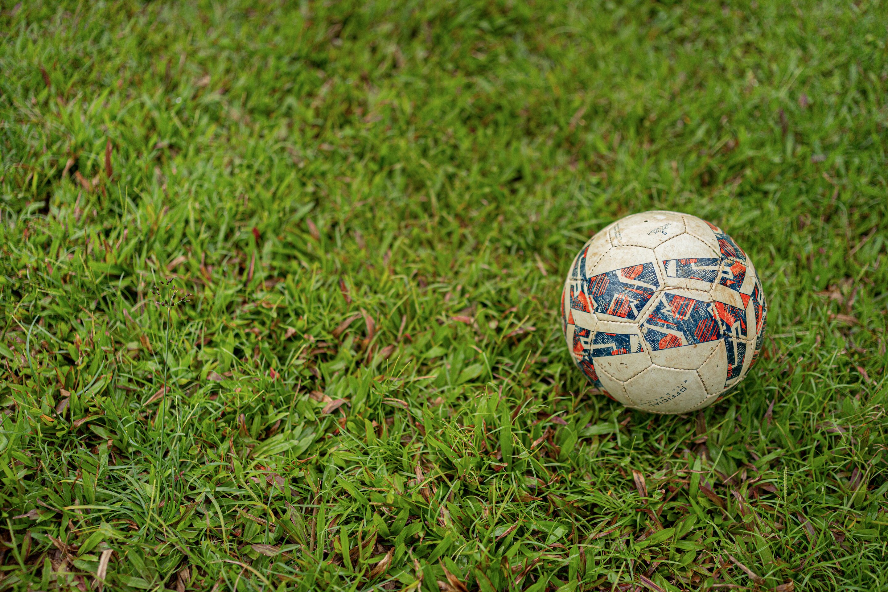 The Sanihara-家庭/游戏区