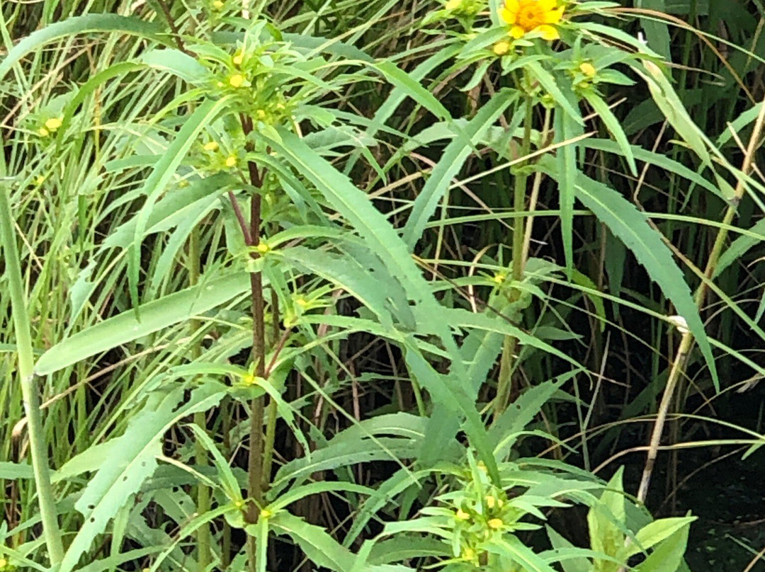 Onnenai Visitor Center-鹤居村必去景点