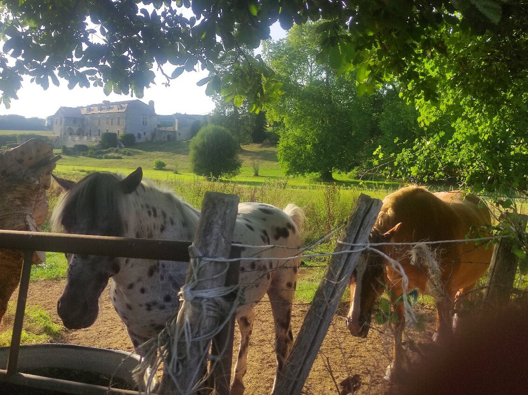 Château De Cibioux主图