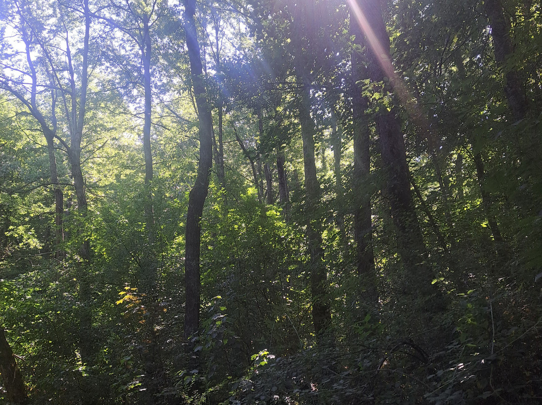 Lago Pontini-Bagno di Romagna必去景点
