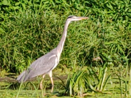 Club de Canoe - Kayak Les Ragondins-Villennes-sur-Seine必去景点