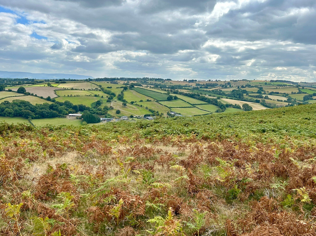 Offa's Dyke Lodge B&B主图