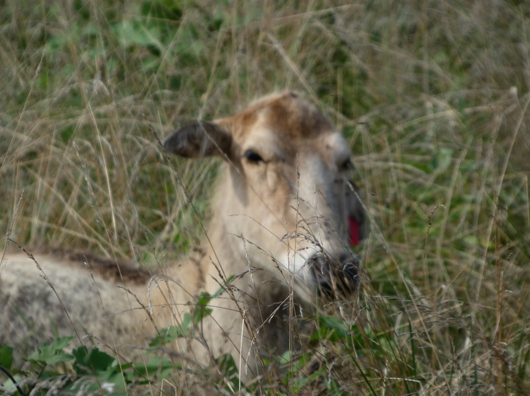 The Wilds-Cumberland必去景点