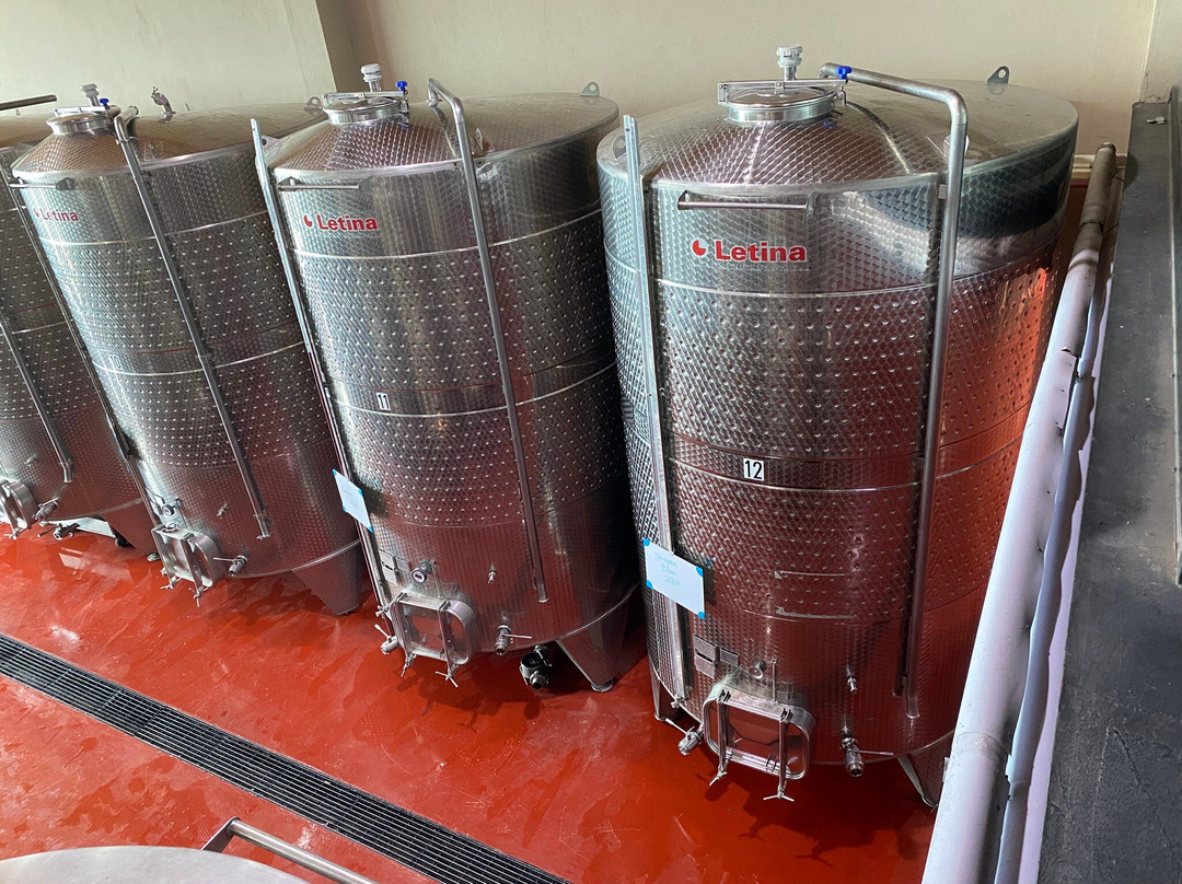 Tres Raíces-Dolores Hidalgo必去景点