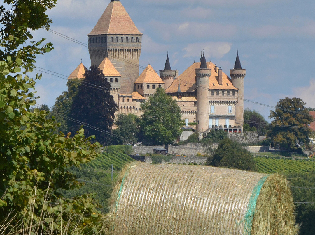 Château de Vufflens-Vufflens-le-Château必去景点