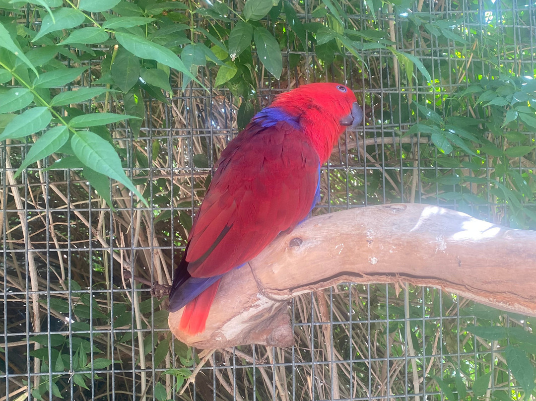 Maroparque Isla de La Palma-Brena Alta必去景点