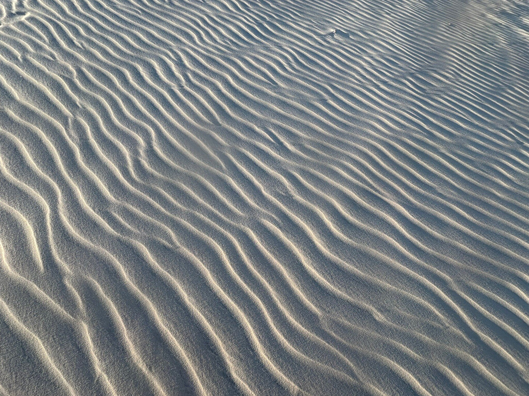 Lençóis Maranhenses-Santo Amaro do Maranhao必去景点