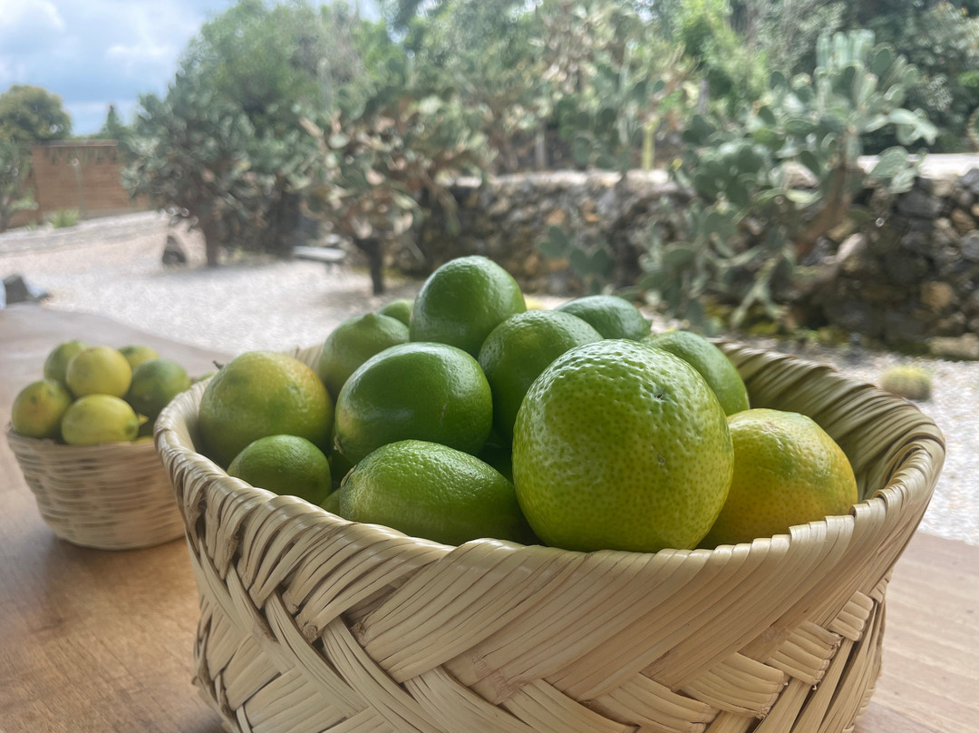 Dilao Sculpture Park-Tepoztlan必去景点