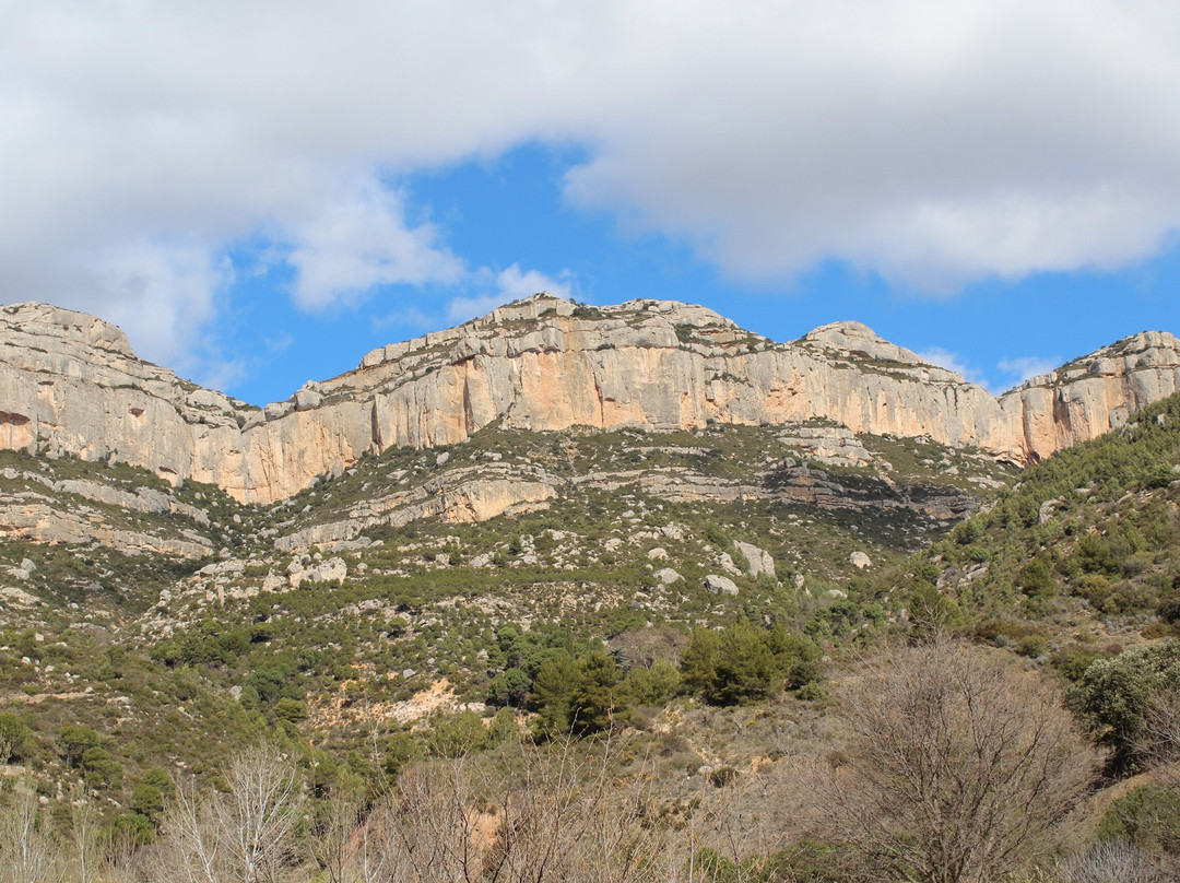 Cartoixa de Scala Dei-Escaladei必去景点