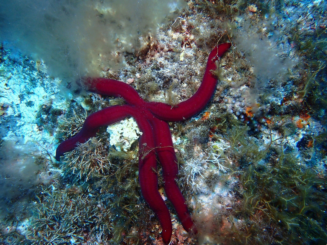 Charters Casamar-卡斯特利翁-德拉普拉纳必去景点