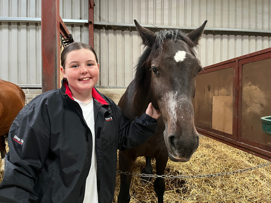 Annaharvey Farm Equestrian Centre-Tullamore必去景点
