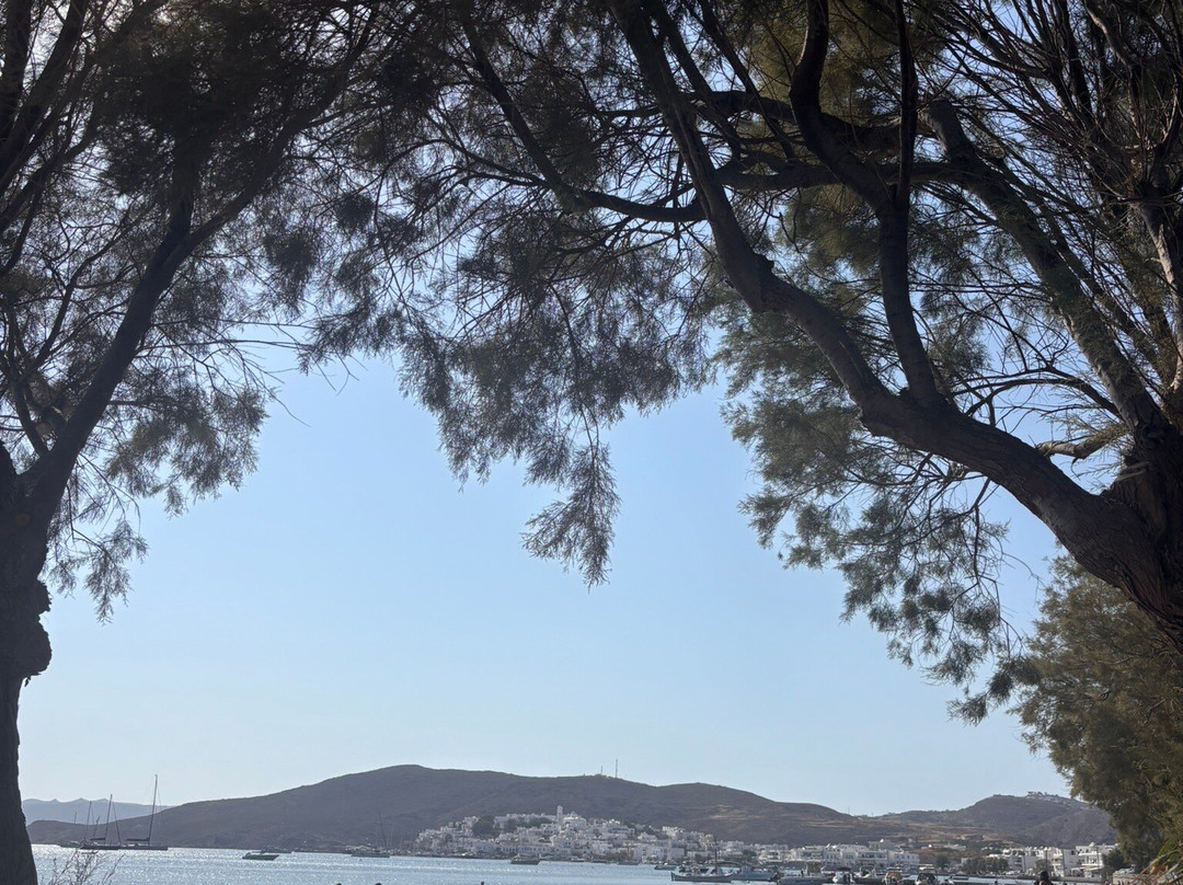 Papikinou Beach-Adamas必去景点