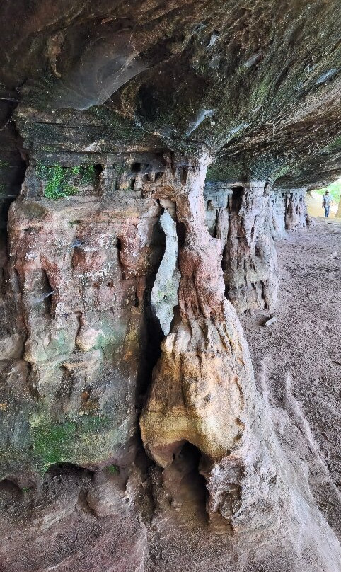 Altschlossfelsen-Eppenbrunn必去景点