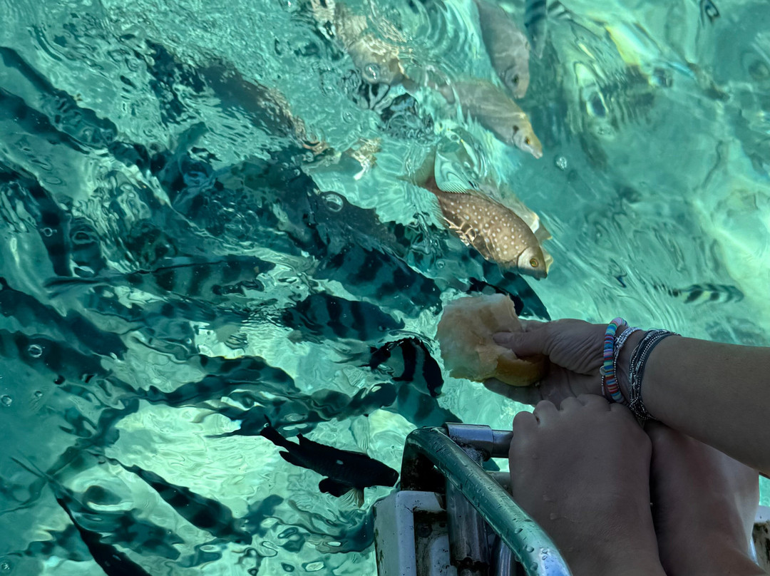 Isa Mauritius-格兰高伯必去景点